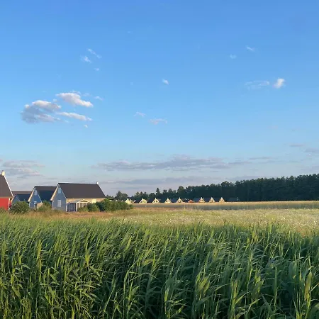 Skandi Design Mit Hafenblick & * ヴァンドリッツ